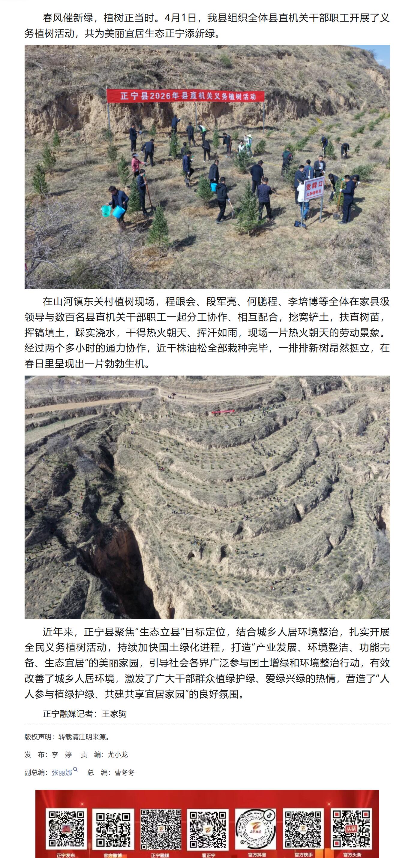 植树1.jpg